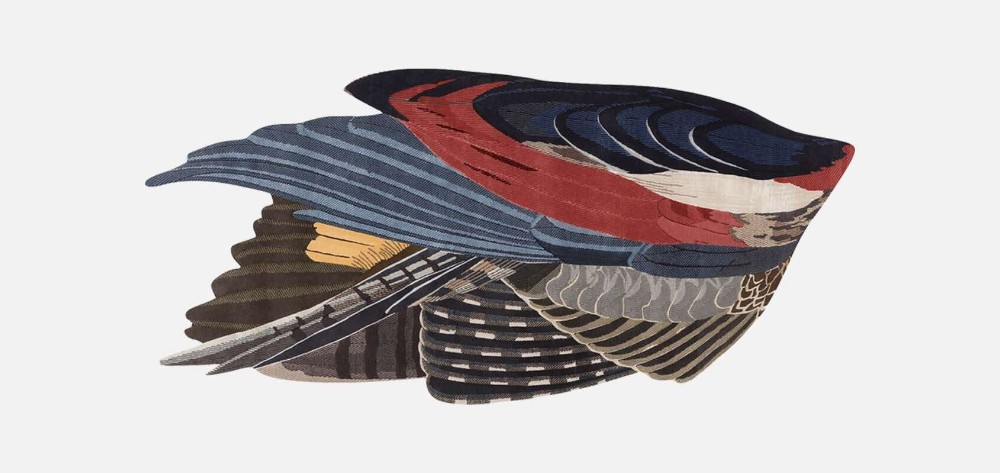 Feathers Freeform Big Rug