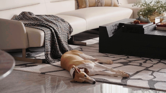 Light luxury style collocation