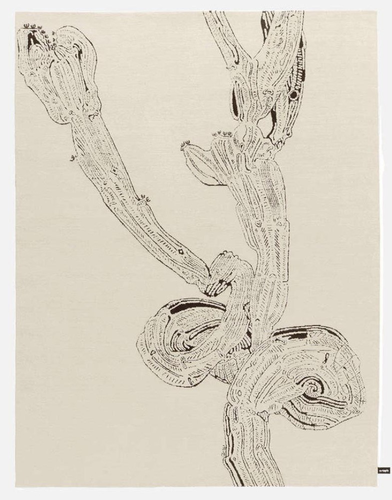 Euphorbia Curly-Wurly Rug